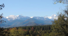 PAS DE LA BACQUERE - Gîte au milieu des bois avec vue sur les Pyrénées